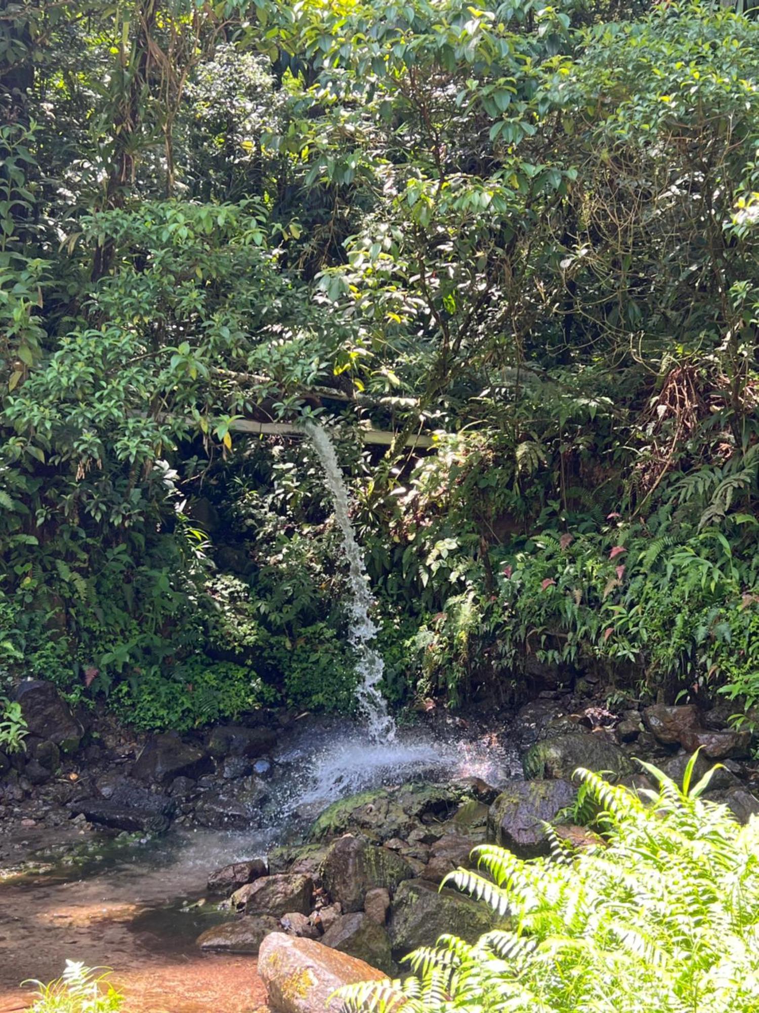 Le Ketmie Nature Et Decouverte Fond-Saint-Denis Dış mekan fotoğraf