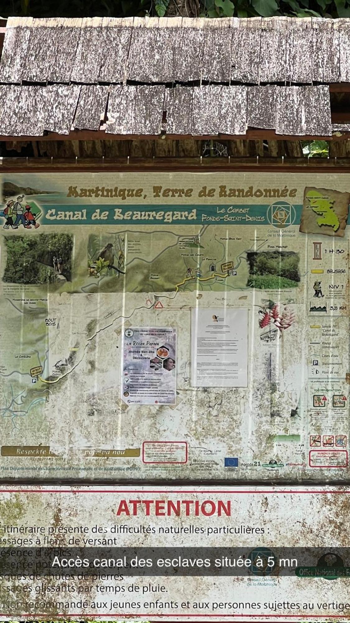 Le Ketmie Nature Et Decouverte Fond-Saint-Denis Dış mekan fotoğraf