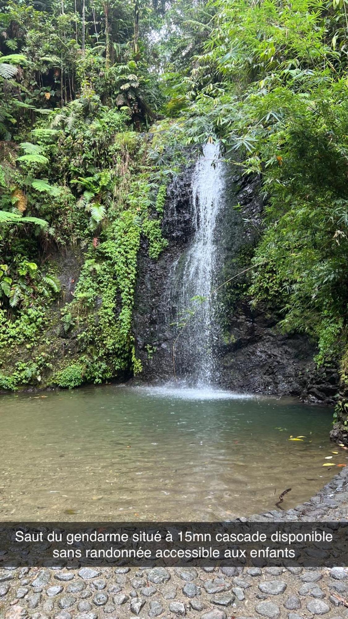 Le Ketmie Nature Et Decouverte Fond-Saint-Denis Dış mekan fotoğraf