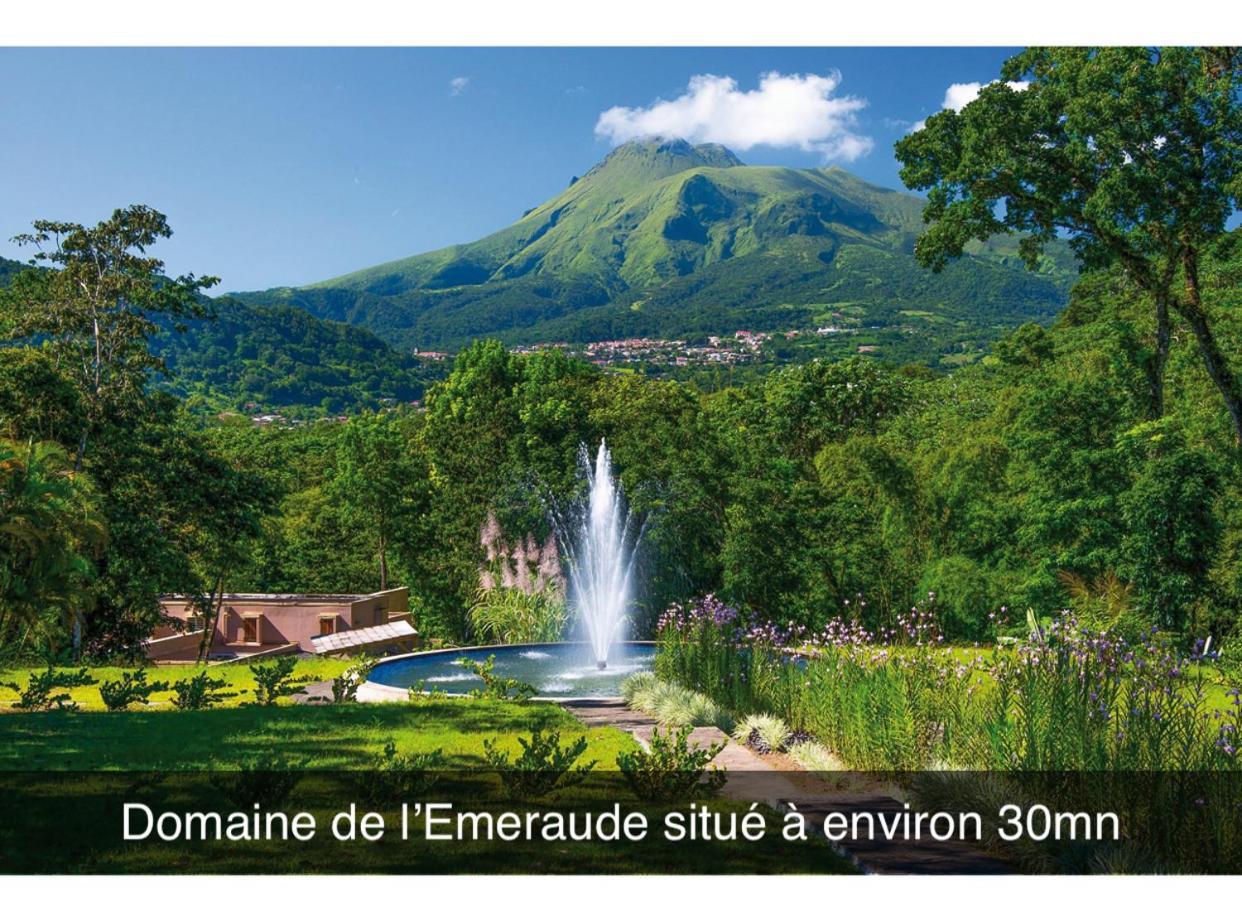 Le Ketmie Nature Et Decouverte Fond-Saint-Denis Dış mekan fotoğraf